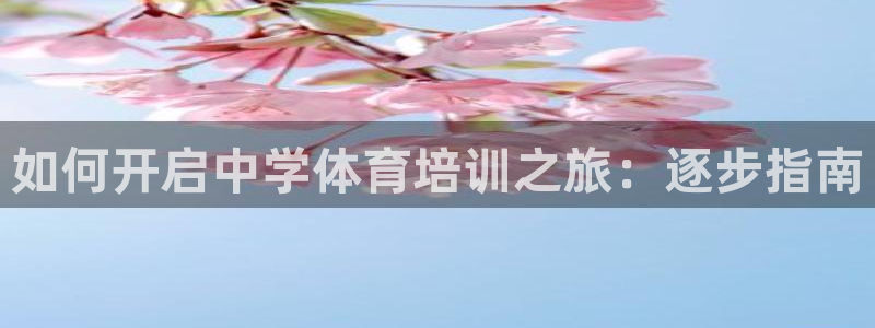 焦点娱乐拉菲11月11日：如何开启中学体育培训之旅：