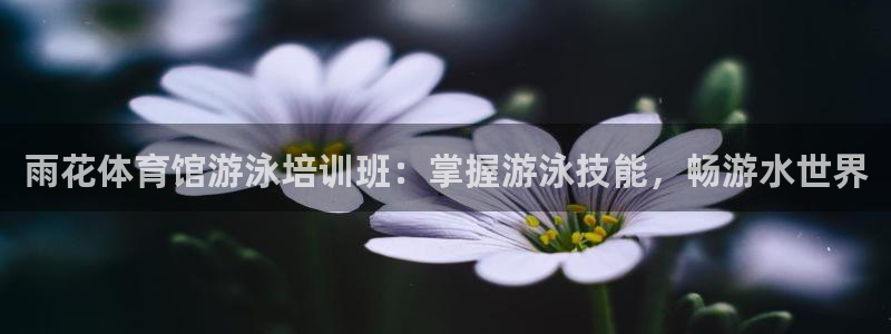 焦点娱乐传媒有限公司官网招聘：雨花体育馆游泳培训班：