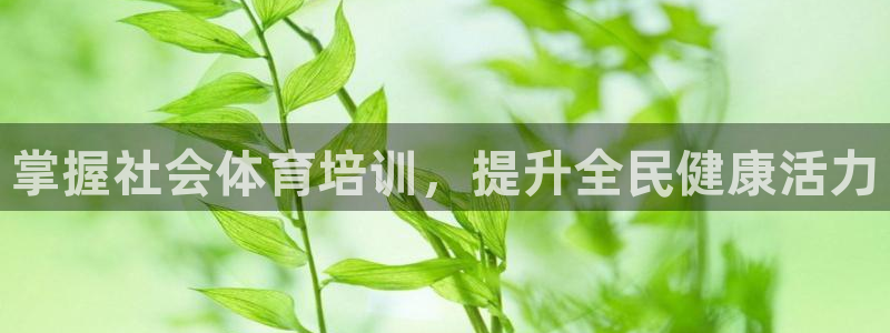 焦点娱乐官方网站入口下载手机版