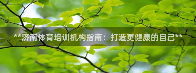 焦点娱乐app下载官网