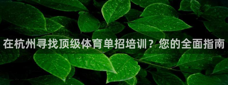 焦点娱乐公司的发展历程：在杭州寻找顶级体育单招培训？