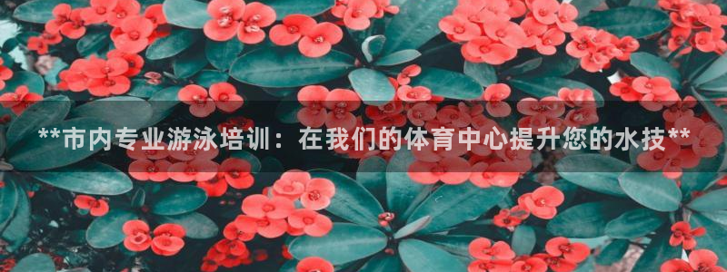 焦点娱乐官方网站首页：**市内专业游泳培训：在我们的